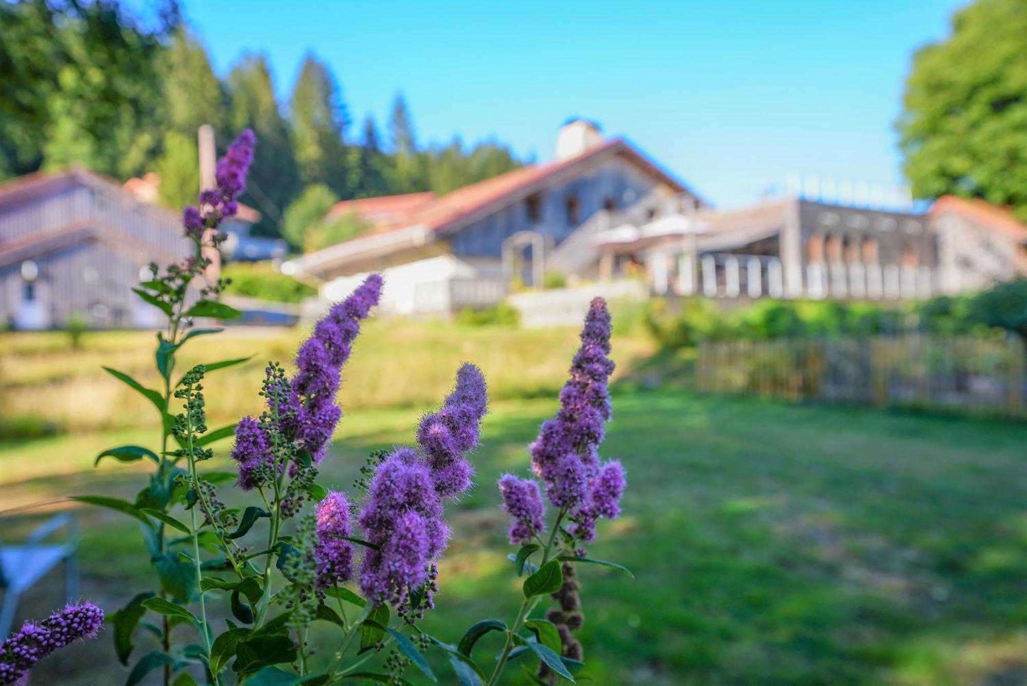De La Poulcière Hotel 3*